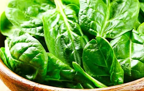 Семена шпината Зима Блумсдейла на продажу