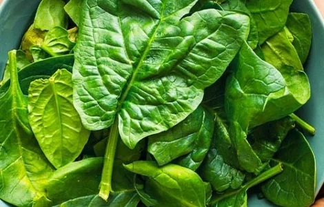 Шпинат Лагос (семена) - качественное предложение