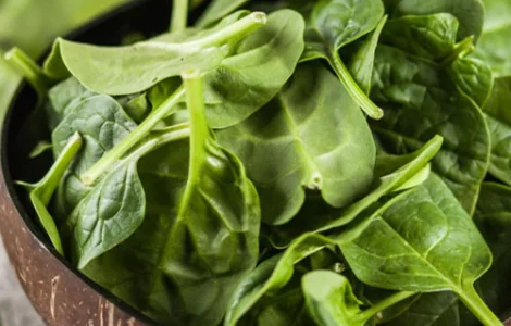 Шпинат Боа (семена) - продажа