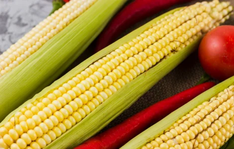 Кукурудза Добриня F1 (насіння) Кукурудза Добриня