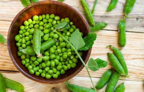 Горох Скінадо (насіння)