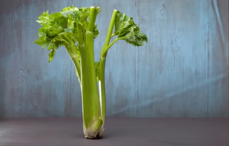 Селера коренева Діамант (насіння)