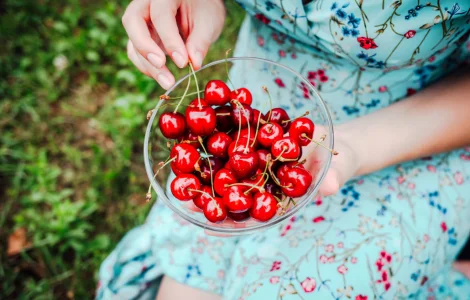 Черешня Бігарро Беккеро (саджанці)