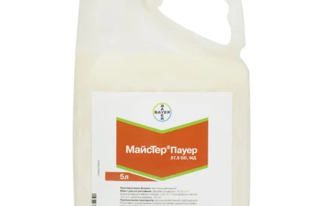 Гербіцид Майстер Пауер 5л