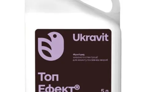 Фунгіцид Топ Ефект 5л