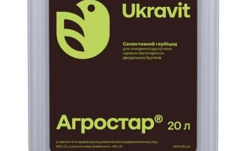 Гербіцид Агростар 20л