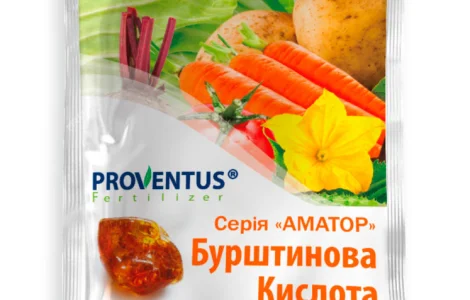 Бурштинова кислота 2 г