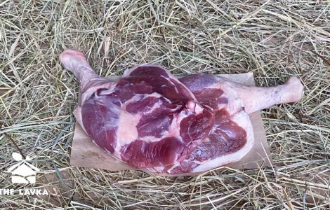 Гусяча ніжка