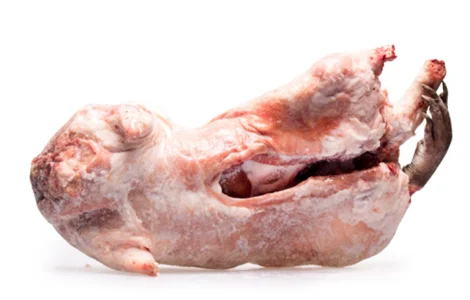 М’ясо нутрії