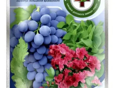 Регулятор росту рослин Бурштинова кислота 5 г