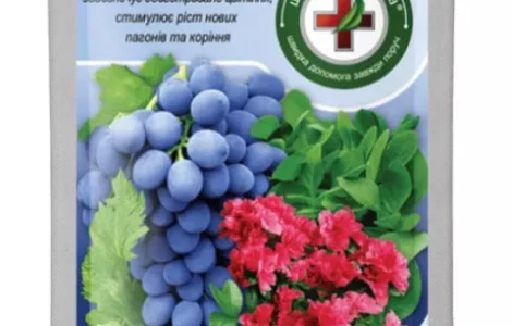 Біостимулятор Бурштинова кислота