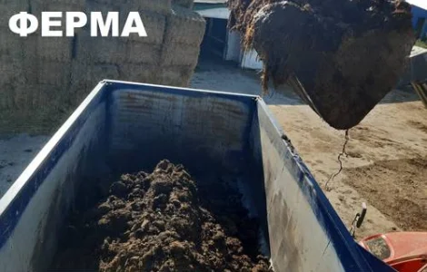 Коровий Перегной. Навоз коровий. Компост.