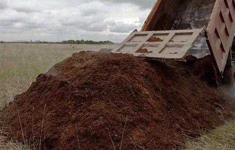 Перегной коровий, конский. Навоз. удобрение.