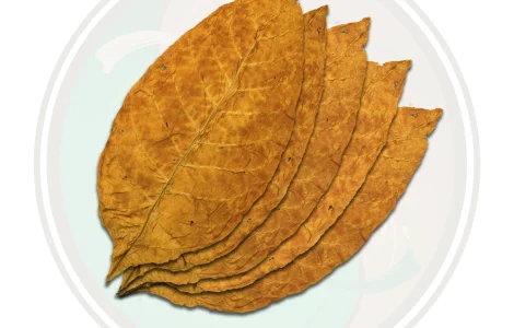 Куплю лист <span style="background-color: #fed034; color: black;">тютюну</span>