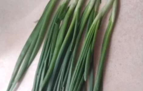 Зелена цибуля перо