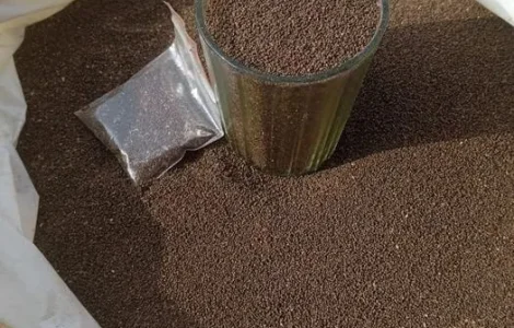 Продам насіння тютюну