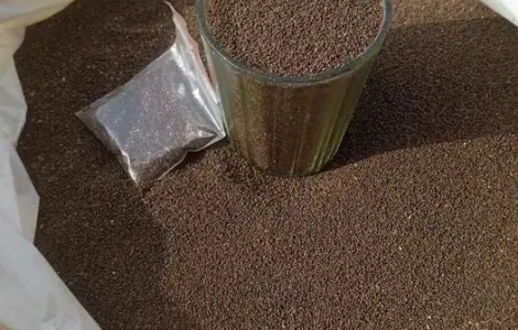 Продам насіння тютюну