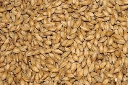 Продам Ячмень фуражный 2 Сандра