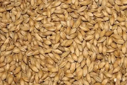 Продам Ячмень фуражный 2 Сандра