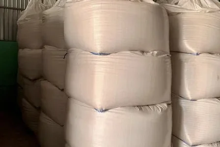 Насіння просо Вітрило