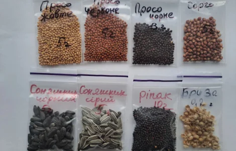 Просо,сорго,соняшник,ріпак,бриза