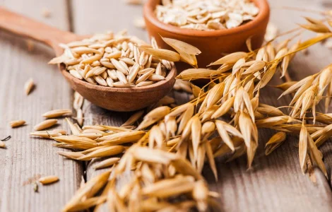 Продам 22 тони Овес, урожай 2025