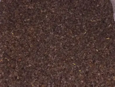 Гречка Арно ранняя