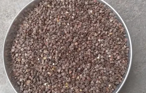 Насіння гречки Гречка органічна