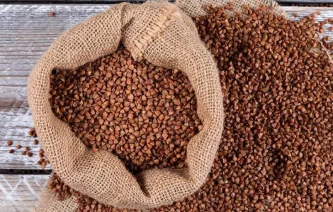 Насіння гречки (посівний матеріал). Сорт: Син-03