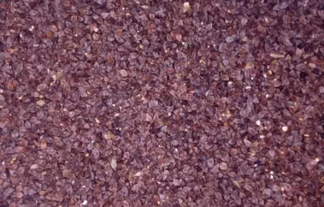 Насіння гречки.Гречка посівна.