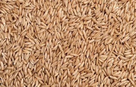 Овес голозерний 1 кг органічний