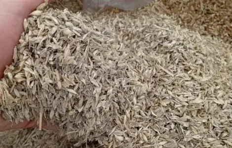 Продам отходы кукурузы, пшеничные.