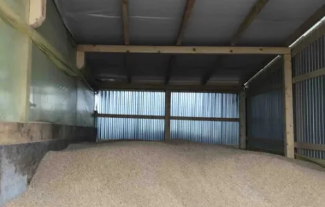 Продам пшеницю.