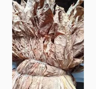 Продам листя тютюну, Тернопільська обл.