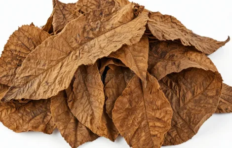 Продам листя і хлопя табака, Закарпатська обл.