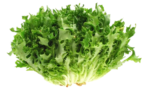 Салат Фризе (1 кг)