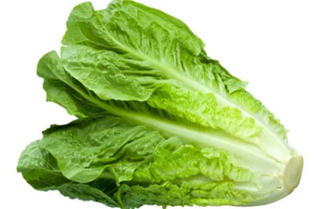 Салат Ромэн импорт (1 кг)