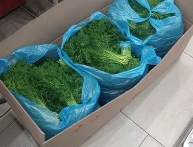 Зелень Укроп , Петрушка