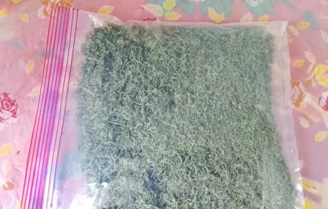 Кріп,петрушка,цибуля домашній сушені.