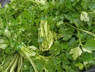 Зелень опт (петушка,укроп) и розница по Украине