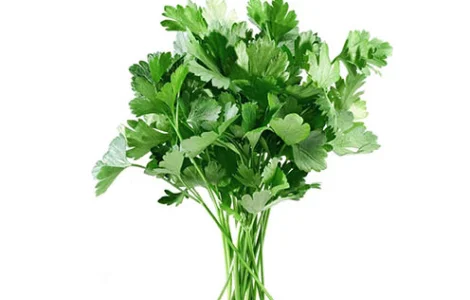 Петрушка (100 г)