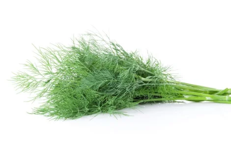 Укроп (100 г)