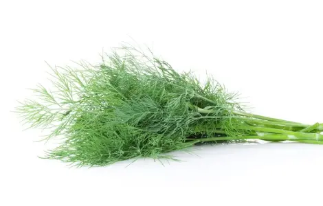 Укроп (100 г)