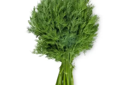 Домашній кріп(уркоп)