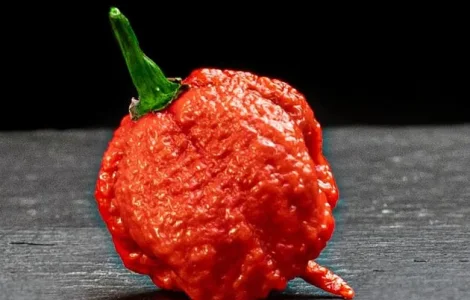 Гострий перець кароліна ріпер Karolina reaper