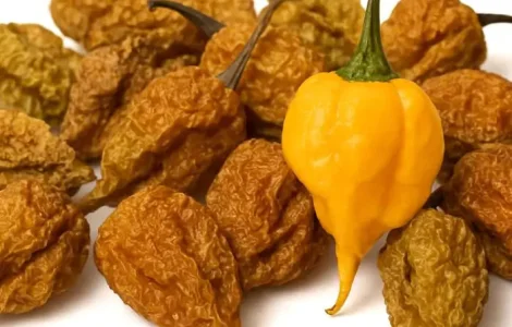 Сушений перець гострий Carolina Reaper Yellow