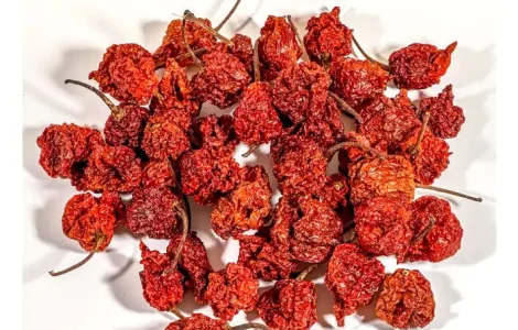 Сушений гострий перець Dragon Breath 10 грам