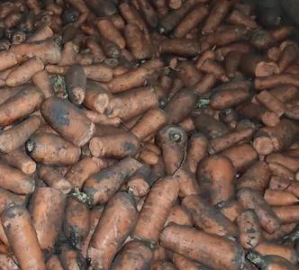 Оптом продам морковь некондицию