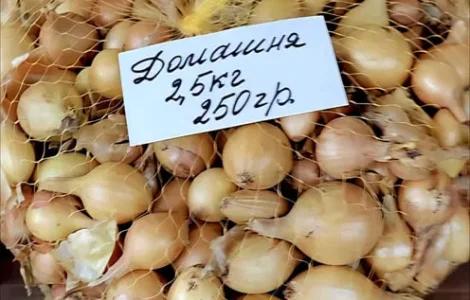 Озима цибуля Домашня на посадку – 2,5 кг