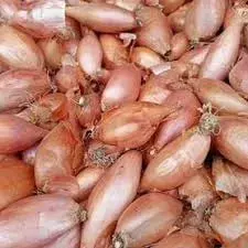 Цибуля червона, шалот,кущівка,домашня
